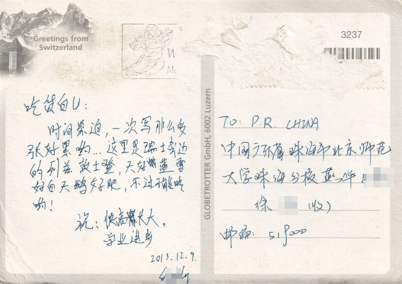 天鹅很肥，正面