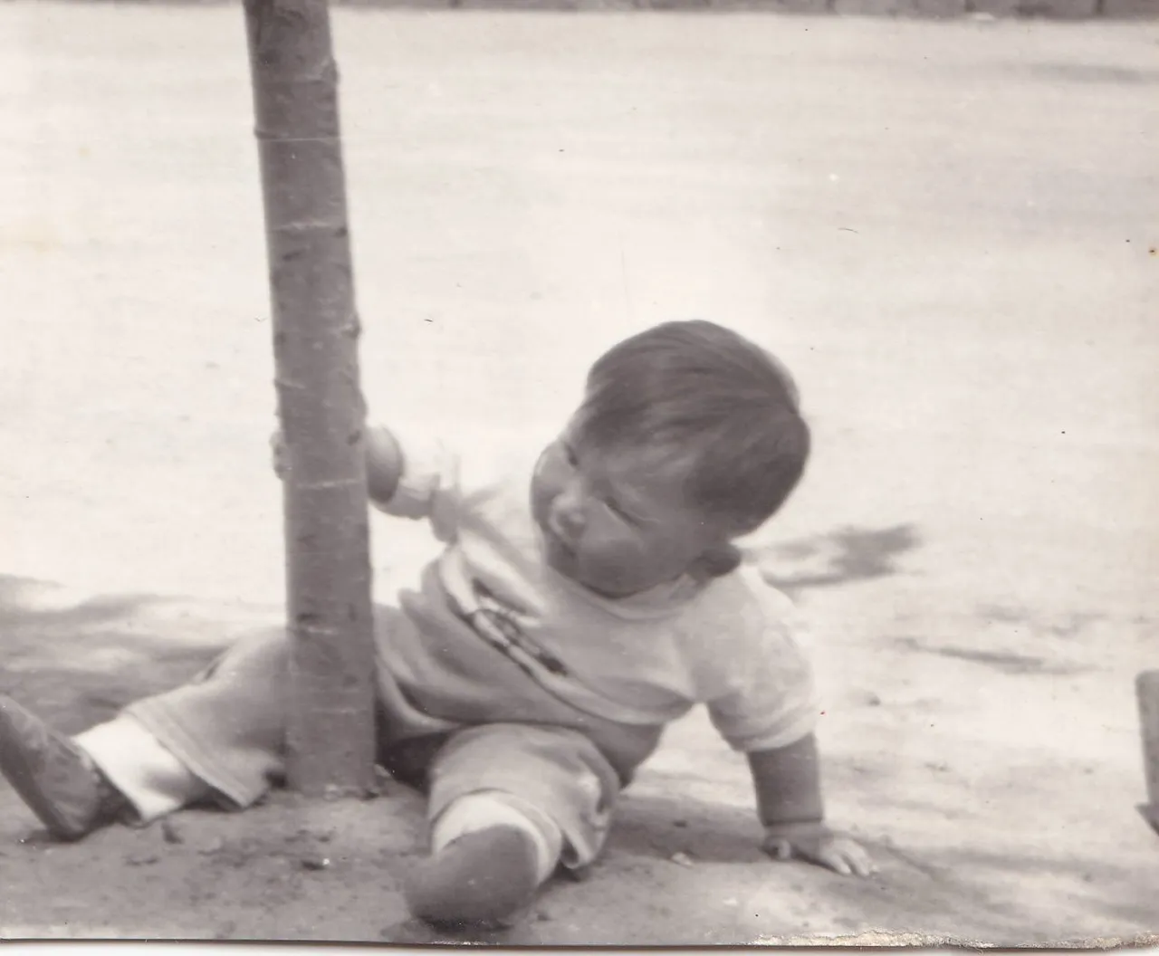 第1幅：树旁抓着树干的幼童。